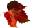 Aktuelles